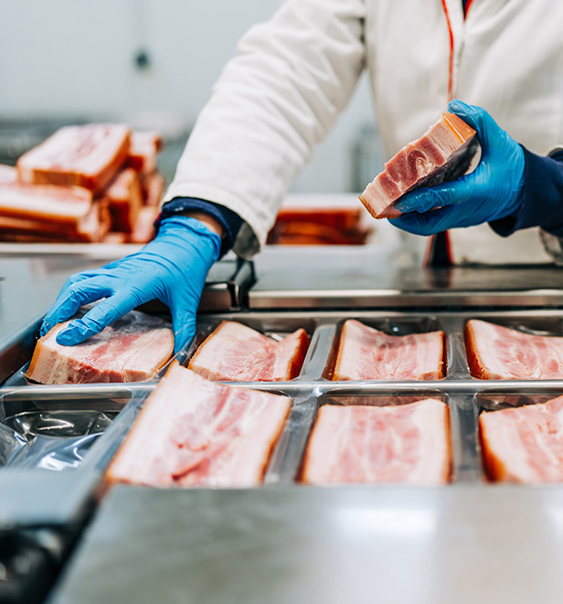 Sicurezza e igiene alimentare (HACCP)